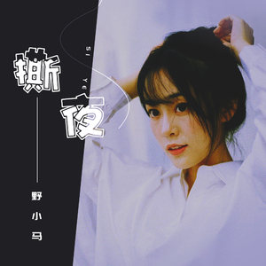 阿提斯괭嫖探륡
