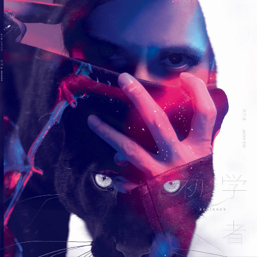 阿提斯괭嫖探륡
